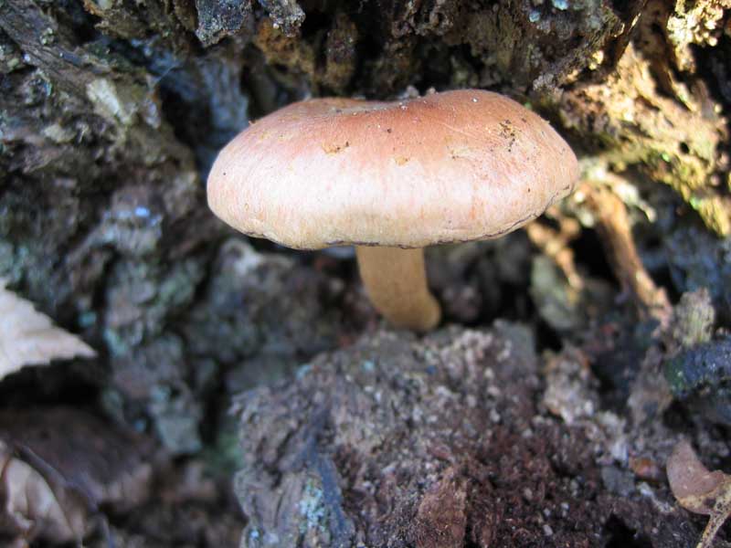 Escursione del  sabato pomeriggio